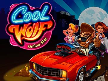Cool Wolf